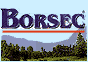 Borsec