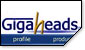 GigaHeads Inc.